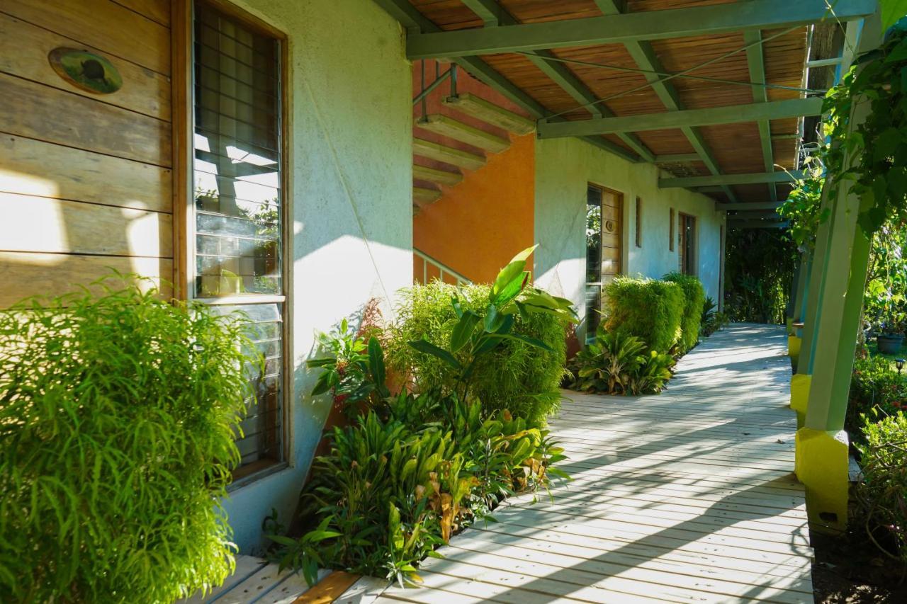 Hotel Sol Sámara エクステリア 写真
